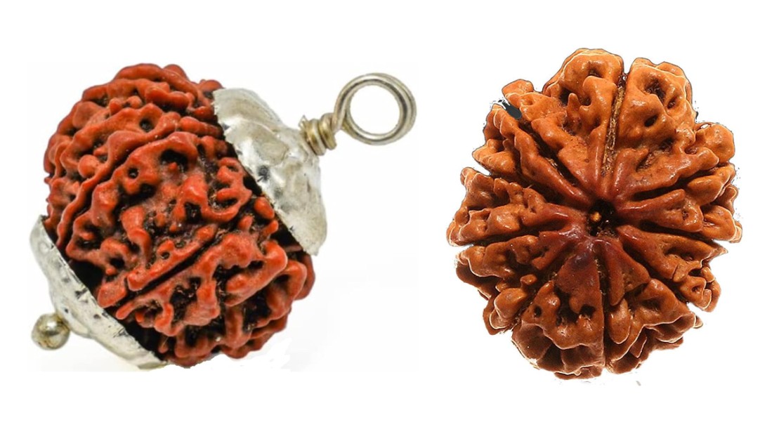 Nine Mukhi Rudraksha by Vedic Vaani