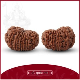 Barah Mukhi Rudraksha