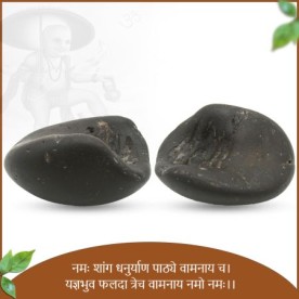  FIFTH INCARNATION OF THE LORD VISHNU VAMAN SHALIGRAM