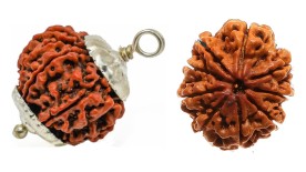 Nine Mukhi Rudraksha by Vedic Vaani