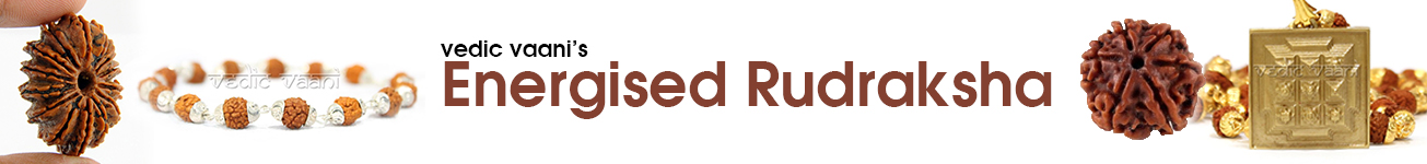 Energised Rudraksha Energised Rudraksha