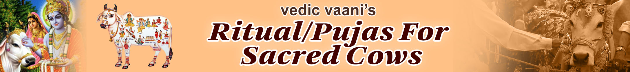 Rituals / Pujas for Sacred Cows Rituals / Pujas for Sacred Cows