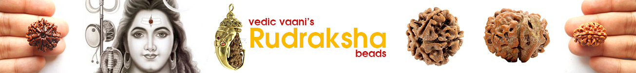 Rudraksha Beads Rudraksha Beads