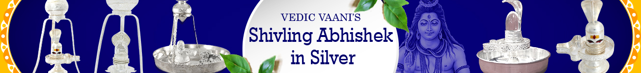 Shivling Abhishek in Silver Shivling Abhishek in Silver