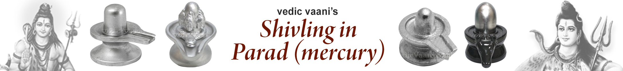 Shivling In Parad (Mercury) Shivling In Parad (Mercury)