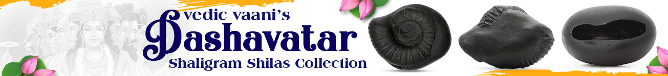 Dashavtara Shaligram Collection Dashavtara Shaligram Collection