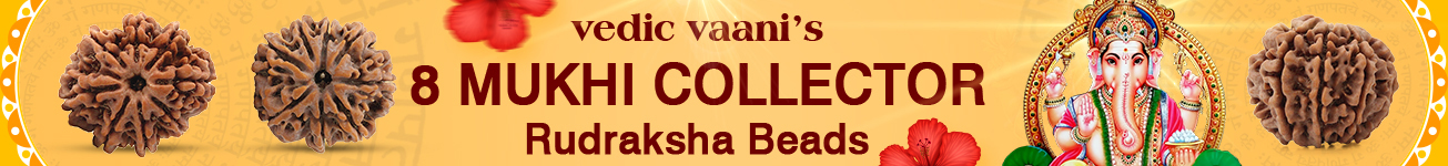 8 Mukhi Collector 8 Mukhi Collector