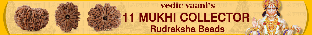 11 Mukhi Collector 11 Mukhi Collector