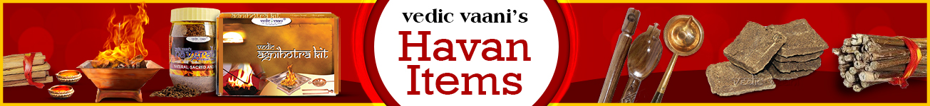 Havan Items/Hawan Samagri Havan Items/Hawan Samagri