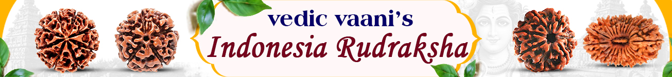 Rudraksha 1 to 21 Mukhi Java Rudraksha 1 to 21 Mukhi Java