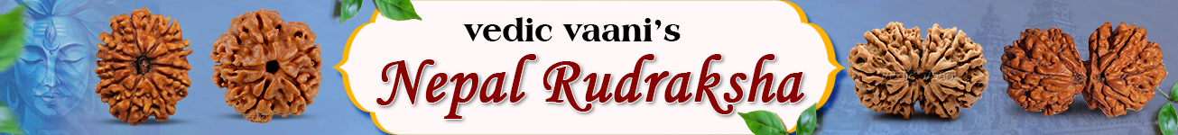 Rudraksha 1 to 21 Mukhi Nepal Rudraksha 1 to 21 Mukhi Nepal