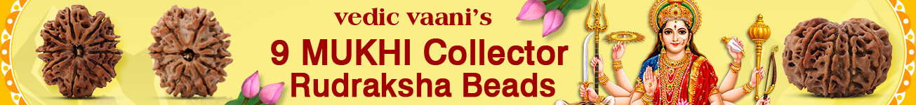 9 Mukhi Collector 9 Mukhi Collector