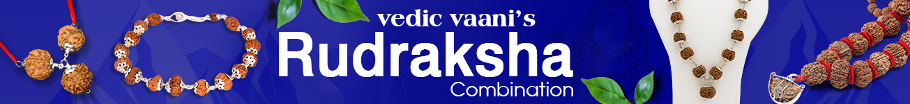 Rudraksha Combination Rudraksha Combination