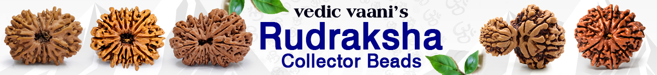Rudraksha Collector Beads Rudraksha Collector Beads