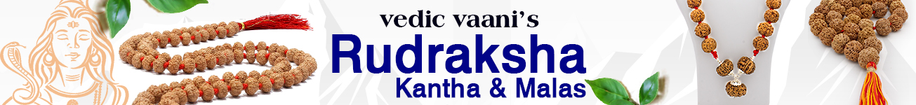 Rudraksha Kantha Malas Rudraksha Kantha Malas