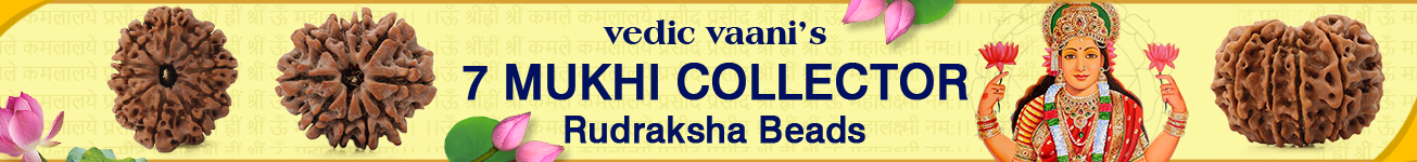 7 Mukhi Collector 7 Mukhi Collector