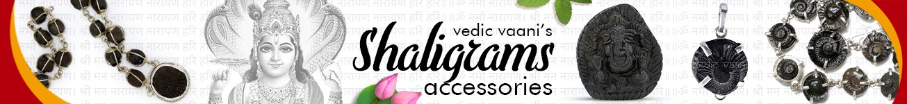 Shaligram Accessories Shaligram Accessories