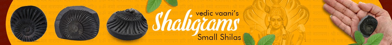 Shaligram Small Shilas Shaligram Small Shilas