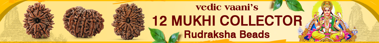 12 Mukhi Collector 12 Mukhi Collector