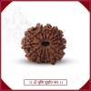 Harnessing Solar Blessings: The Barah Mukhi Rudraksha's Radiant Power
