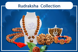 rudraksha