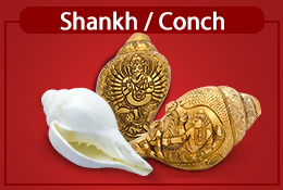 shankh